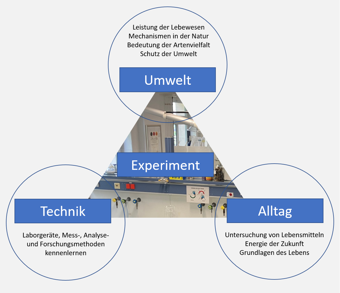 Aspekte eines Experiments